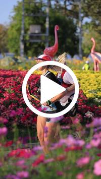 BIB:  <button type="button" onclick="openModal(27588678)" class="btn btn-primary btn-sm float-right" data-toggle="modal" data-target=".modal-high-quality">
                <i class="fa fa-download"></i> Download
                </button>